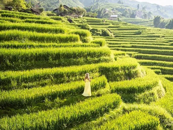 Những điểm đến Tây Bắc đẹp "mơ màng" trong mùa Thu - Đông! ảnh 7