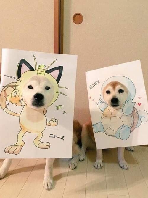 Khi “boss” thơ ngây nhưng gặp phải con “sen” có tuổi thơ dữ dội... kết quả là đây! ảnh 4