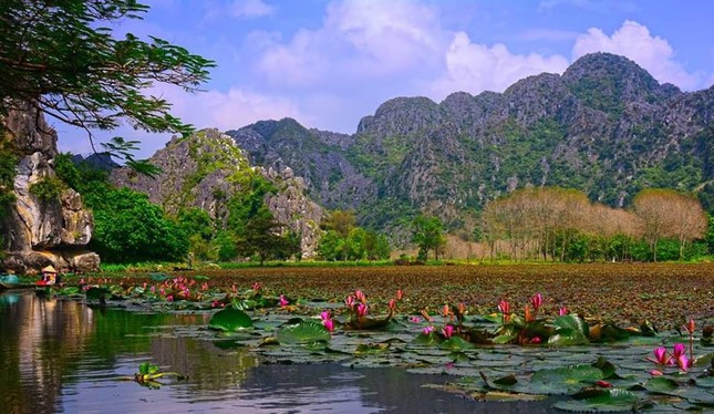 Teen đắm chìm trong “miền Tây thu nhỏ” với hoa súng Thanh Hóa ảnh 1