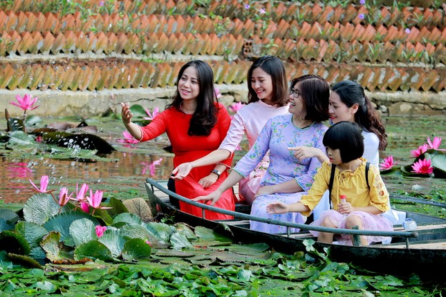 Teen đắm chìm trong “miền Tây thu nhỏ” với hoa súng Thanh Hóa ảnh 2