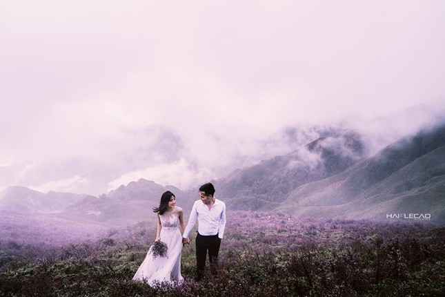 "Ngất lịm" với đồi hoa tím trên Tà Chì Nhù - đỉnh núi cao thứ 7 Việt Nam ảnh 7