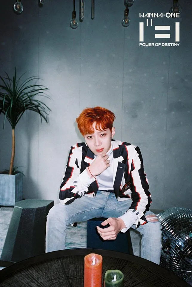 HOT: WANNA ONE đẹp mê mẩn trong bộ ảnh "nhá hàng" cho album cuối cùng "1¹¹=1" ảnh 6
