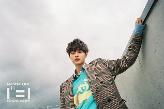 HOT: WANNA ONE đẹp mê mẩn trong bộ ảnh "nhá hàng" cho album cuối cùng "1¹¹=1" ảnh 4