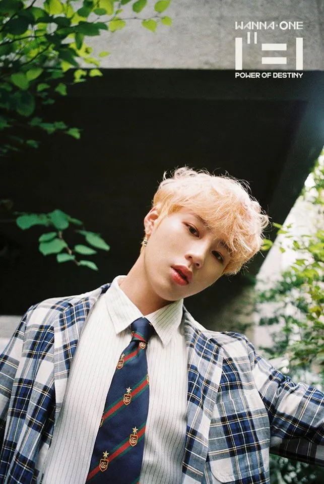 HOT: WANNA ONE đẹp mê mẩn trong bộ ảnh "nhá hàng" cho album cuối cùng "1¹¹=1" ảnh 9