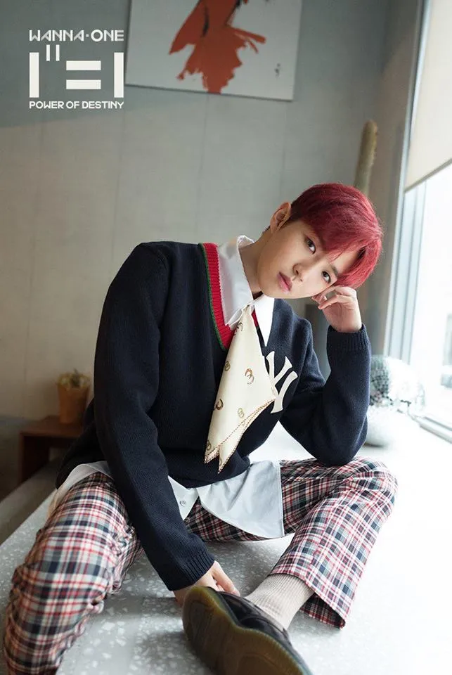HOT: WANNA ONE đẹp mê mẩn trong bộ ảnh "nhá hàng" cho album cuối cùng "1¹¹=1" ảnh 1