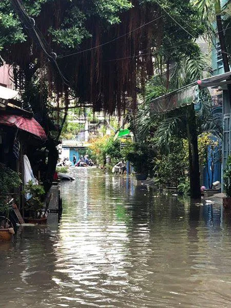 Người dân Sài Gòn di chuyển vất vả trên những con đường ngập đầy nước sau trận bão ảnh 7