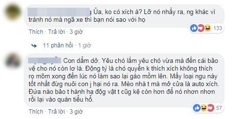 Chú chó nhảy xuống xe lao ra đường bị ô tô đâm và hành động của người chủ gây tranh cãi ảnh 3