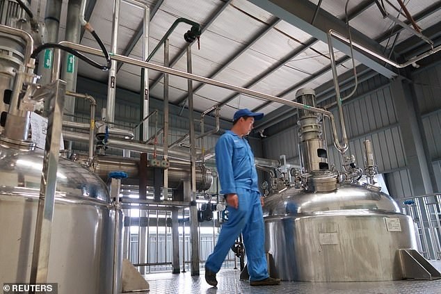 Ai bảo gián vô dụng? Chúng đang giúp thành phố này chén hết 50 tấn thức ăn thừa mỗi ngày đấy! ảnh 4
