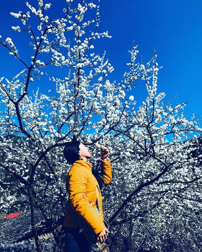Mùa mận trắng Mộc Châu đã đẹp như cổ tích rồi, chỉ chờ bạn xách ba lô lên và đi thôi! ảnh 6