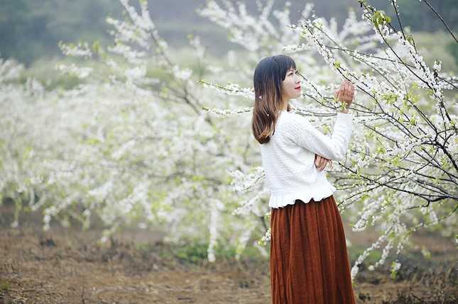 Mùa mận trắng Mộc Châu đã đẹp như cổ tích rồi, chỉ chờ bạn xách ba lô lên và đi thôi! ảnh 10