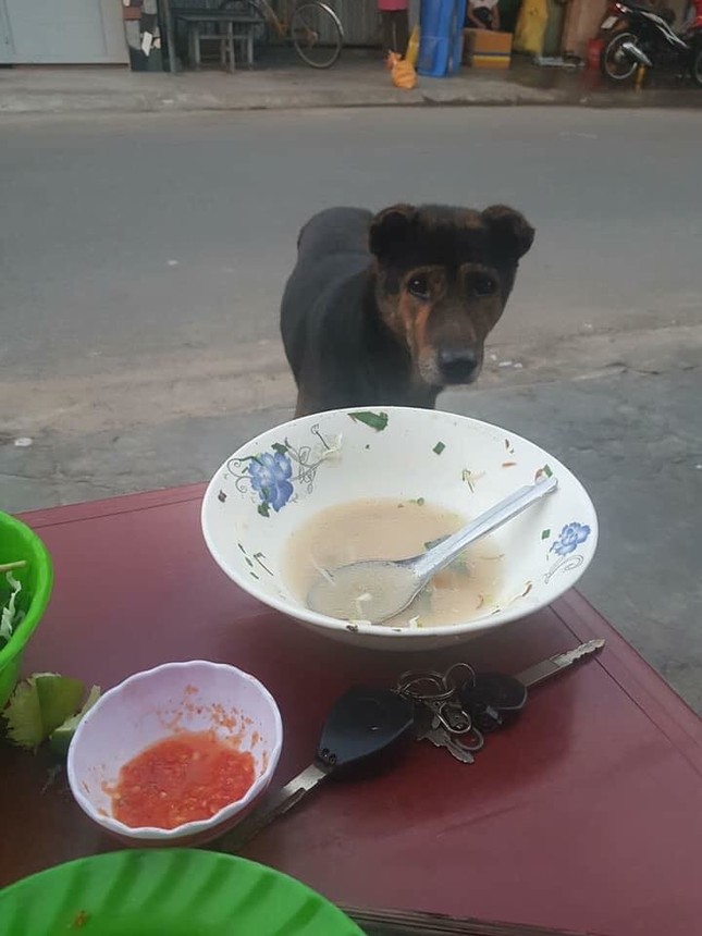 "Ăn xin" đẳng cấp của năm: Ở nhà lầu vẫn lừa được thanh niên mua cho 20K thịt vịt ảnh 1