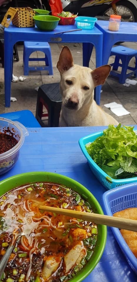 "Ăn xin" đẳng cấp của năm: Ở nhà lầu vẫn lừa được thanh niên mua cho 20K thịt vịt ảnh 3