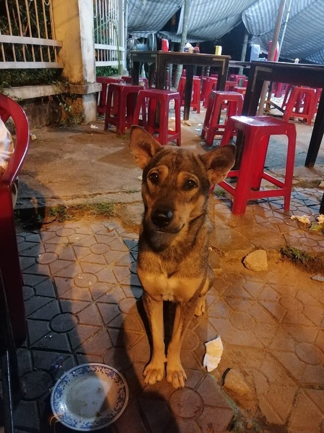 "Ăn xin" đẳng cấp của năm: Ở nhà lầu vẫn lừa được thanh niên mua cho 20K thịt vịt ảnh 9