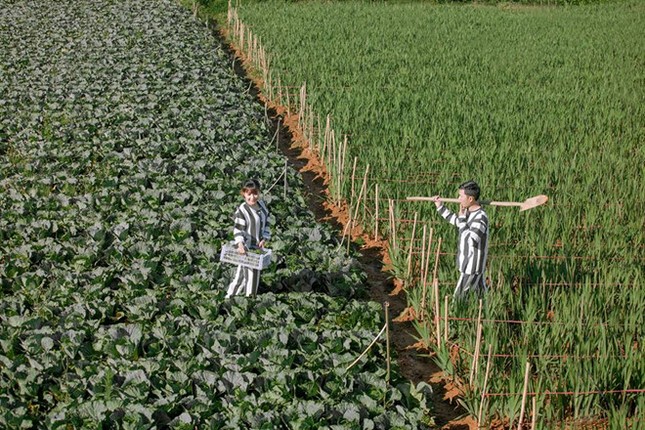 Cặp đôi Sài Gòn bỗng nổi tiếng bởi tình yêu "chung thân" với ảnh cưới đồ... "Juventus" ảnh 2
