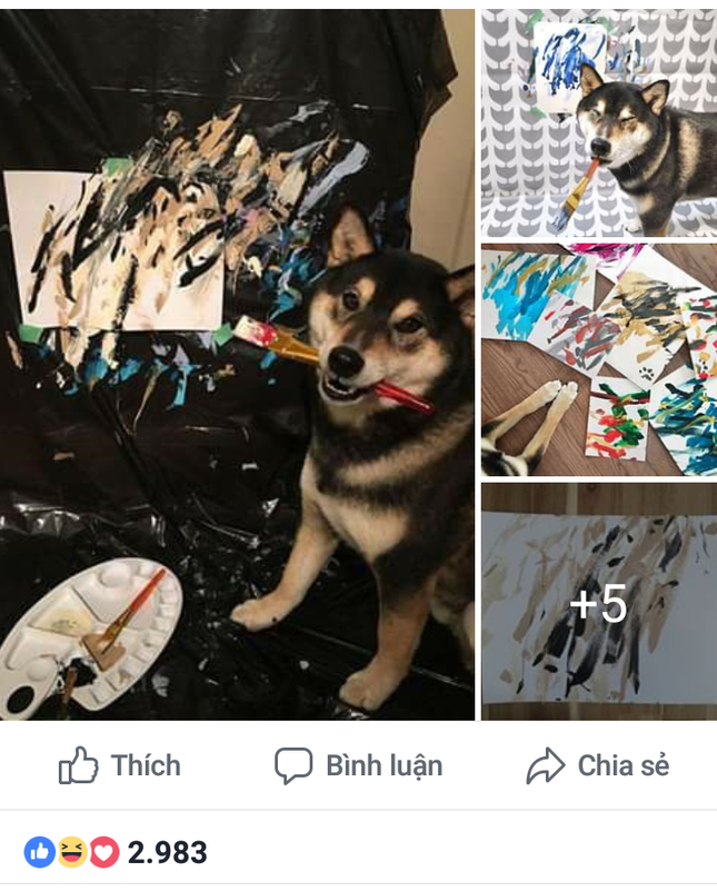 “Chó nhà người ta” có Instagram riêng, giúp chủ kiếm hơn 116 triệu đồng nhờ tài vẽ tranh "cực độc" ảnh 1