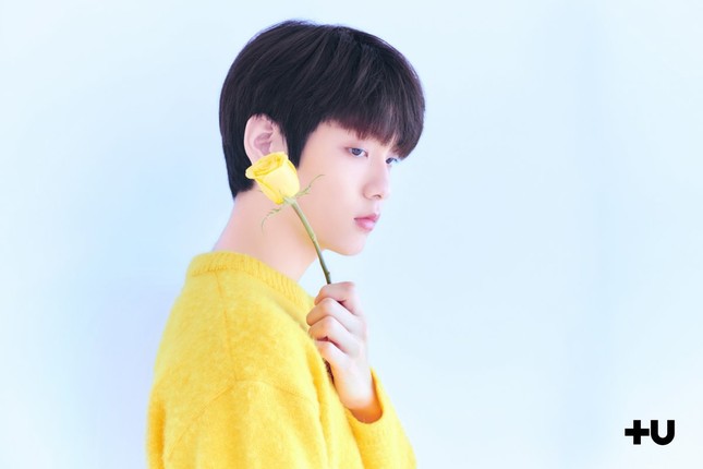 Năm 2019, "bão" tân binh "khủng" sẽ đồng loạt đổ bộ K-Pop ảnh 4