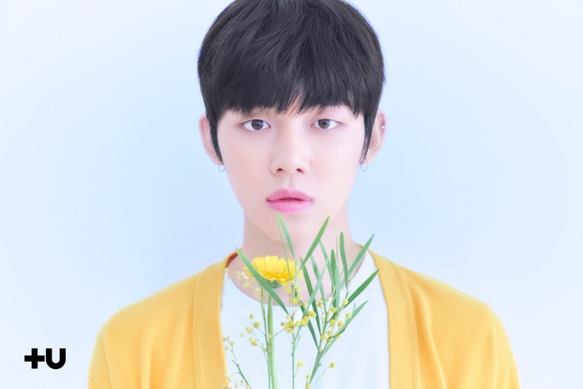 Năm 2019, "bão" tân binh "khủng" sẽ đồng loạt đổ bộ K-Pop ảnh 3
