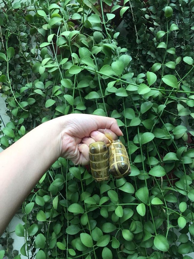 Vì một cái Tết ấm no không lo béo, dân tình "rần rần" khoe bánh chưng, bánh tét size mini ảnh 4
