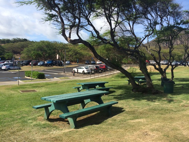 Lạc lối ở Hawaii - xứ sở thiên đường của dân du lịch ảnh 2