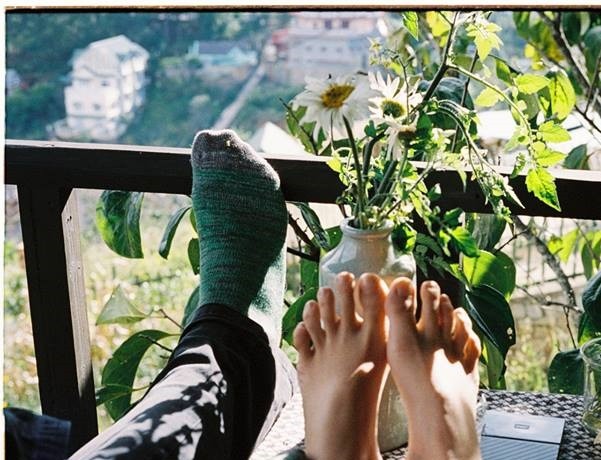 Những trái hồng dòn và câu chuyện của mùa Đông ảnh 3