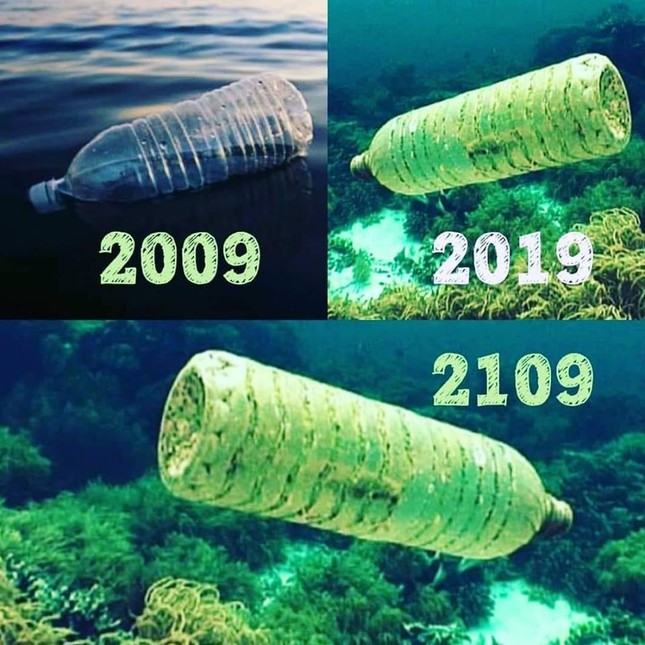 #10yearschallenge: Hãy nhìn lại những gì chúng ta đã làm cho thiên nhiên trong vòng 10 năm qua! ảnh 9