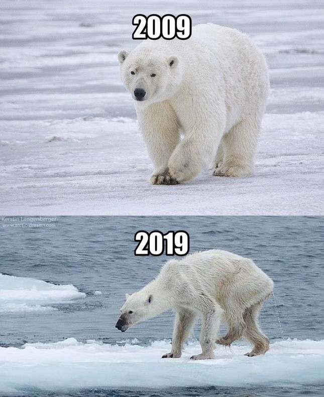#10yearschallenge: Hãy nhìn lại những gì chúng ta đã làm cho thiên nhiên trong vòng 10 năm qua! ảnh 2