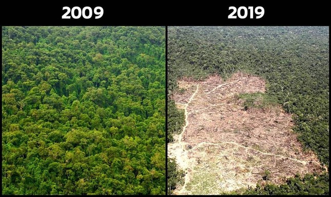 #10yearschallenge: Hãy nhìn lại những gì chúng ta đã làm cho thiên nhiên trong vòng 10 năm qua! ảnh 7