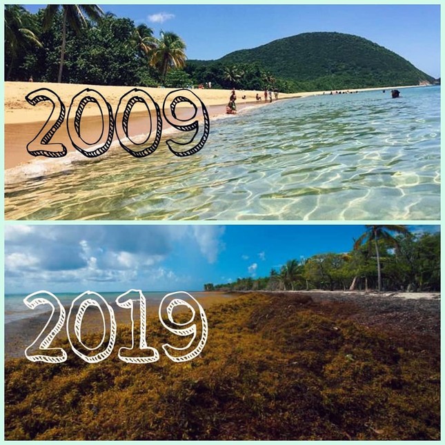 #10yearschallenge: Hãy nhìn lại những gì chúng ta đã làm cho thiên nhiên trong vòng 10 năm qua! ảnh 8