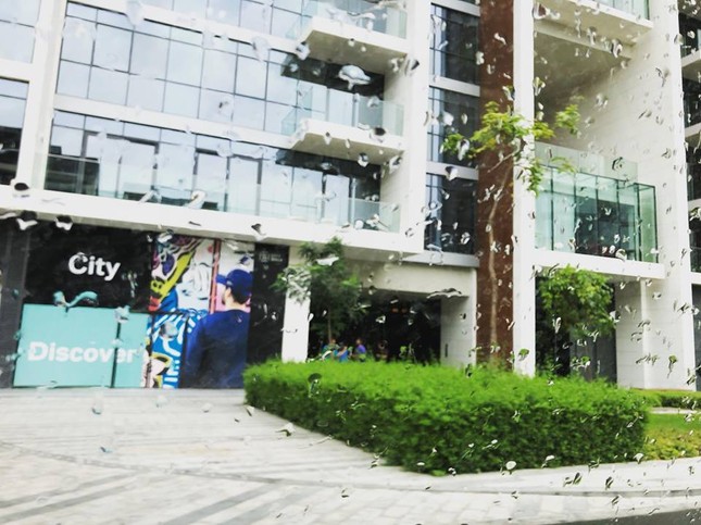 Sống ở Dubai - một đất nước dát vàng khắp mọi nơi liệu có sung sướng như bạn nghĩ? ảnh 6
