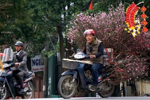 Chết cười ảnh chế Công Phượng, Quang Hải về Việt Nam bán đào kiếm tiền tiêu Tết ảnh 2