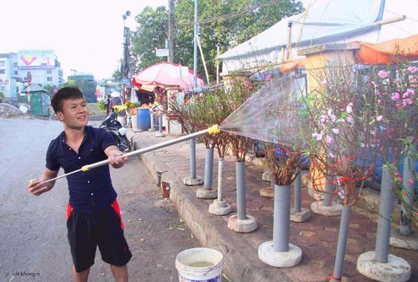 Chết cười ảnh chế Công Phượng, Quang Hải về Việt Nam bán đào kiếm tiền tiêu Tết ảnh 3