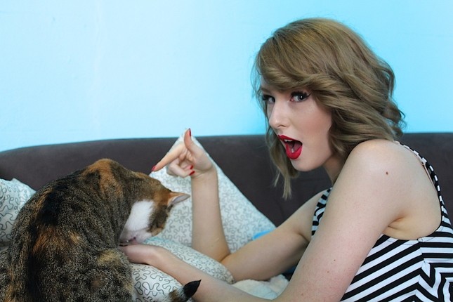 Taylor Swift tiết lộ tham gia phim nhạc kịch đình đám của Broadway chỉ vì… quá thích mèo! ảnh 2