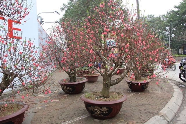 Những “thiên đường” mua sắm nhộn nhịp nhất Hà Nội dịp Tết Nguyên đán ảnh 4