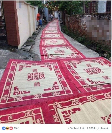 “Dở khóc dở cười” hình ảnh cả họ trải chiếu "từ nhà ra ngõ" khi biết cháu dẫn người yêu về ảnh 1