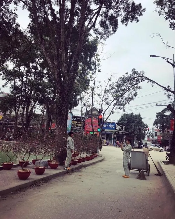 Khoảnh khắc ấm lòng ngày 29 Tết: Hai cô lao công chụp ảnh bên hoa đào sau khi dọn sạch phố ảnh 1