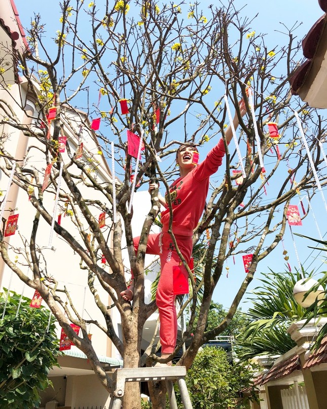 Về quê ăn tết, "Ngọc nữ bolero" Tố My tự trèo lên cây mai "khủng" 40 năm tuổi để trang trí ảnh 1