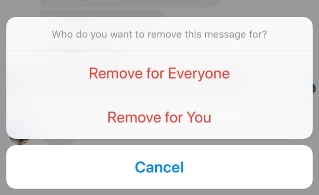 Facebook Messenger đã cập nhật tính năng "unsend": Nhanh tay thu hồi tin nhắn trong 10 phút! ảnh 1