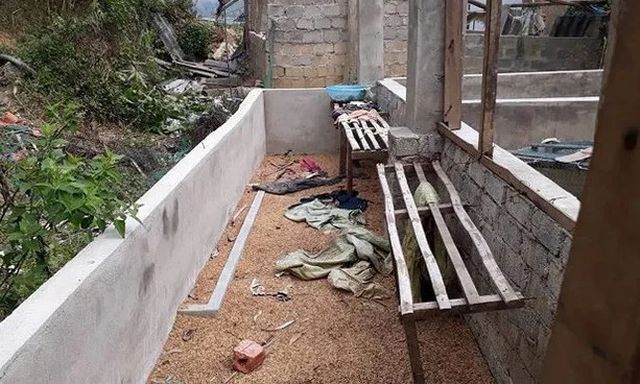 Khởi tố nghi phạm sát hại cô gái giao gà giúp mẹ chiều 30 tết ảnh 2