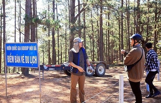 Lối vào cây thông "cô đơn" Đà Lạt bất ngờ bị chặn lại thu phí, du khách bức xúc lên tiếng ảnh 4