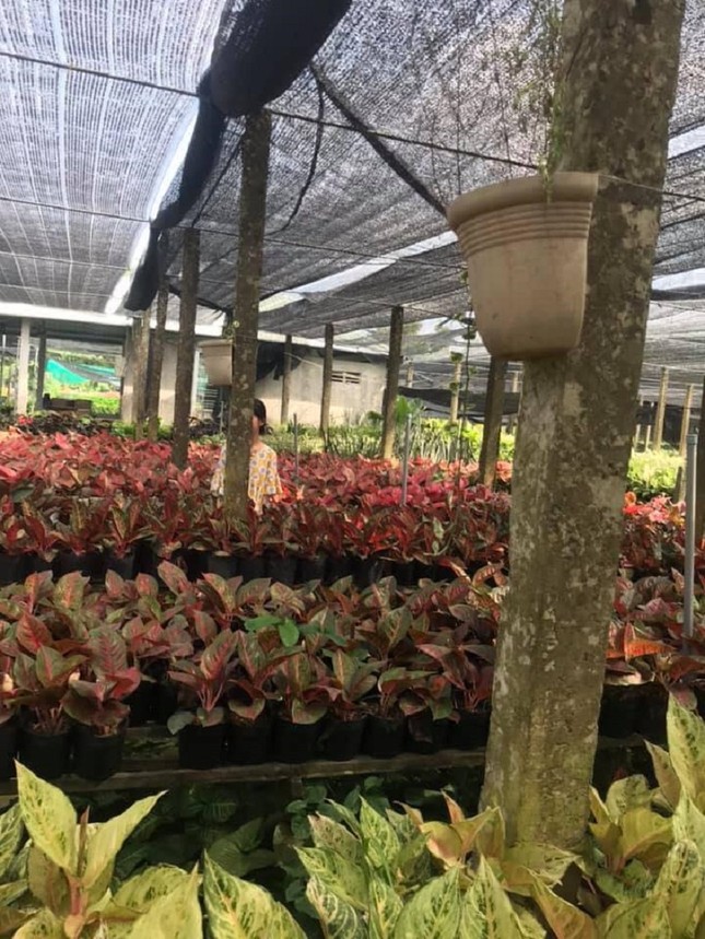 Xuất hiện "hội những cô gái quyết anti người yêu vì chụp hình quá xấu" ảnh 6