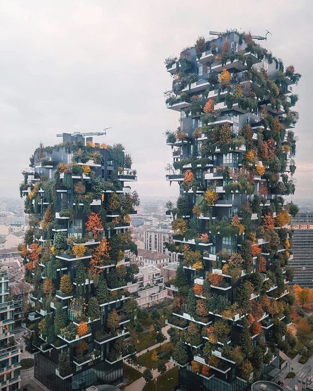 Những bức ảnh ấn tượng nhất trong cuộc thi nhiếp ảnh trên Instagram của National Geographic ảnh 2
