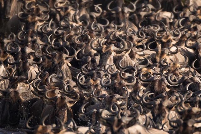 Những bức ảnh ấn tượng nhất trong cuộc thi nhiếp ảnh trên Instagram của National Geographic ảnh 9