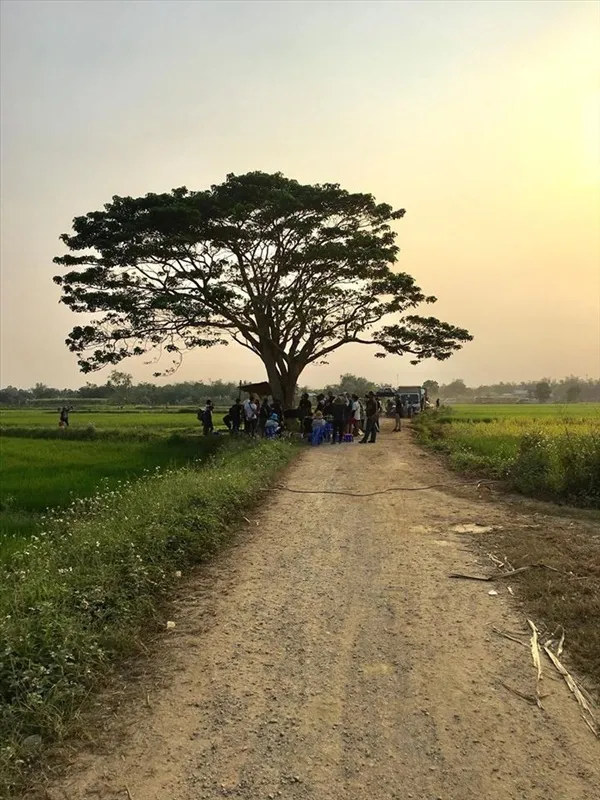 Tìm về chốn thơ mộng và bình yên xứ Huế, cũng là nơi bấm máy phim "Mắt biếc" ảnh 2