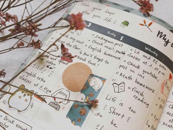 Học tập hiệu quả và đỡ buồn ngủ hơn với sổ tay bullet journal chất lừ, bạn biết chưa? ảnh 2