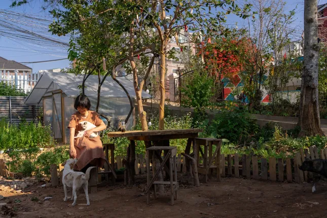 Sao phải chờ đến giờ trái đất, giới trẻ ngày nay có thể làm nhiều hơn để bảo vệ môi trường ảnh 5