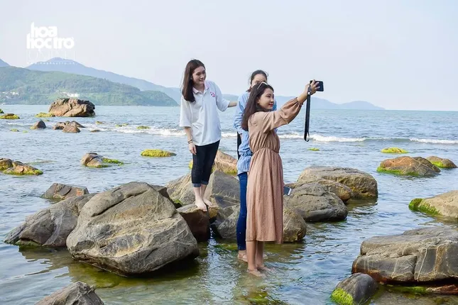 Nhanh nhanh nào bạn ơi! Mùa rêu xanh Nam Ô (Đà Nẵng) đã đến rồi! ảnh 4