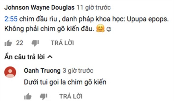 Tung clip "chia tiền" từ resort Aroma, Khoa Pug bất ngờ bị phát hiện thông tin sai về chi tiết này ảnh 6
