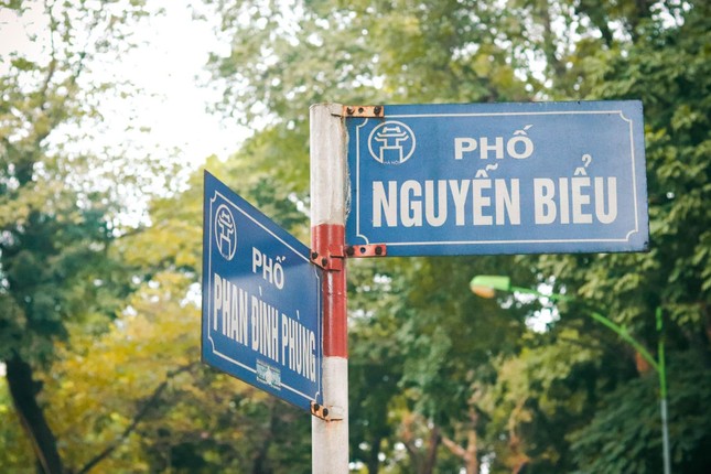 Đẹp ngỡ ngàng mùa sấu thay lá đổ vàng rực cả con đường lãng mạn nhất Hà Nội ảnh 5