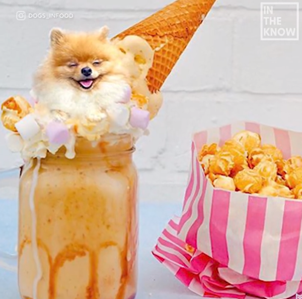 Bạn có nỡ ăn những chiếc bánh có hình cún cưng này không? ảnh 5