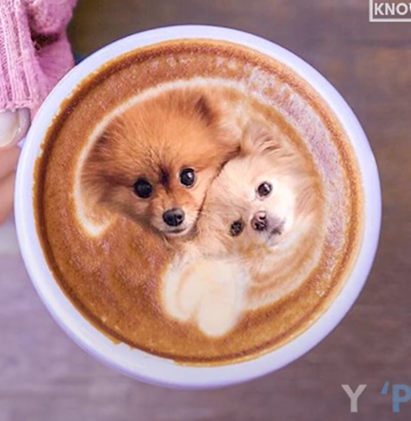 Bạn có nỡ ăn những chiếc bánh có hình cún cưng này không? ảnh 2